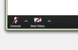 DESKTOP - Look for the icons telling you if you’re muted or visible